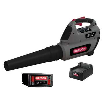 OREGON KIT ΦΥΣΗΤΗΡΑΣ ΜΠΑΤΑΡΙΑΣ BL300E