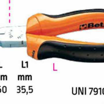 Beta Πλατυτσίμπιδο B010140230