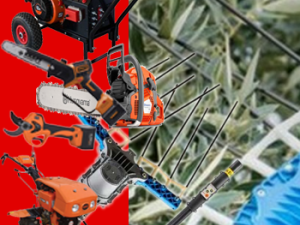 Αλυσοπρίονα & Κλαδευτικά για Κήπο, Ελιές και Δάσος – Επιλογή & Οδηγός Αγοράς