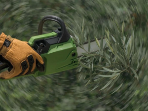 Αλυσοπρίονα & Κλαδευτικά για Κήπο, Ελιές και Δάσος – Επιλογή & Οδηγός Αγοράς Αλυσοπρίονα & Κλαδευτικά για Κήπο, Ελιές και Δάσος – Επιλογή & Οδηγός Αγοράς