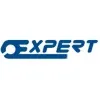 Expert