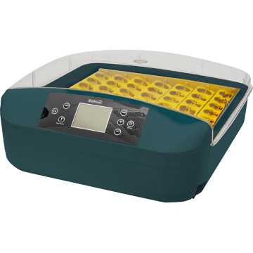 BORMANN BIN1056 Εκκολαπτική Μηχανή Αυτόματη 56 Αυγών 80W με Έλεγχο Υγρασίας 074229