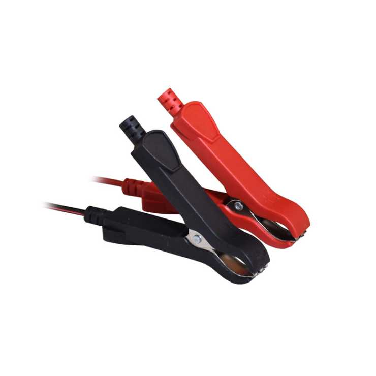 IMPERIA ΦΟΡΤΙΣΤΗΣ & ΣΥΝΤΗΡΗΤΗΣ ΜΠΑΤΑΡΙΩΝ 6V/12V  1.0A 60159