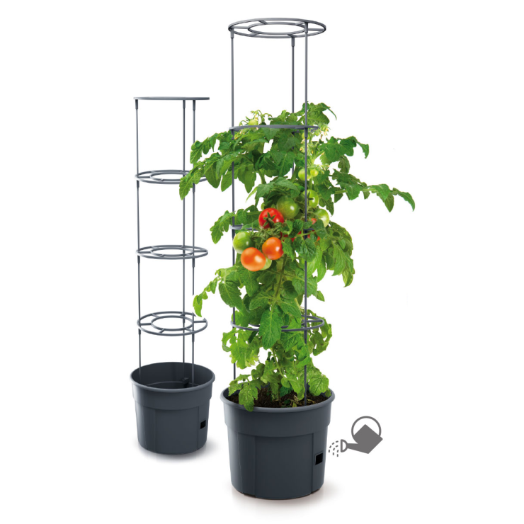 PROSPERPLAST Γλαστράκι Tomato Grower ∅39,2 cm IPOM400-S433