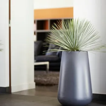 elho ΓΛΑΣΤΡΑ PURE CONE HIGHT 45-CONE45