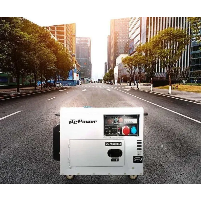 ITC POWER Ηλεκτροπαραγωγό ζεύγος DG7800SE 02DG7800SE
