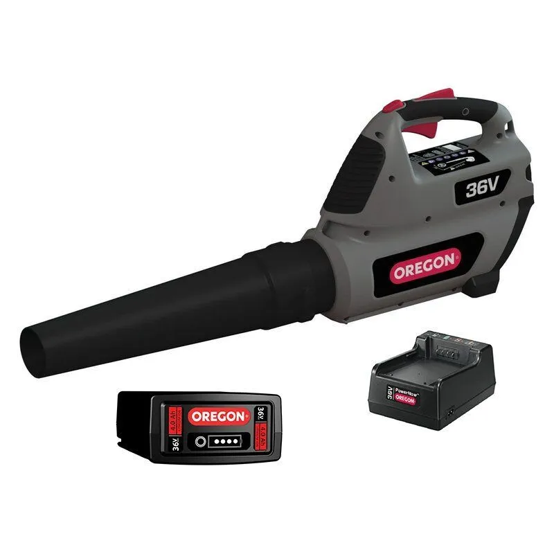 OREGON KIT ΦΥΣΗΤΗΡΑΣ ΜΠΑΤΑΡΙΑΣ BL300E