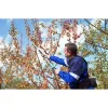 Campagnola Easy 200 Κονταροψάλιδo Μπαταρίας 860635