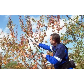 Campagnola Easy 200 Κονταροψάλιδo Μπαταρίας 860635