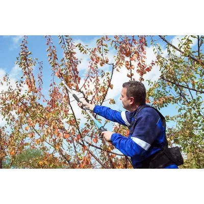 Campagnola Easy 200 Κονταροψάλιδo Μπαταρίας 860635