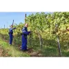 Campagnola Easy S Κλαδευτικό Ψαλίδι Μπαταρίας 860630