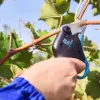Campagnola Easy S Κλαδευτικό Ψαλίδι Μπαταρίας 860630