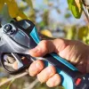 Campagnola Easy L Κλαδευτικό Ψαλίδι Μπαταρίας 860631
