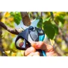 Campagnola New Stark L Κλαδευτικό Ψαλίδι Μπαταρίας 860645
