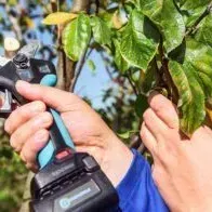 Campagnola New Stark M Κλαδευτικό Ψαλίδι Μπαταρίας 860644