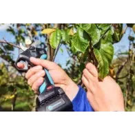 Campagnola New Stark M Κλαδευτικό Ψαλίδι Μπαταρίας 860644