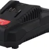 Bormann Φορτιστής 20V Pro BBP2001 033066
