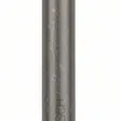 BOSCH Φτυαροκάλεμο SDS plus 40mm  2608690146