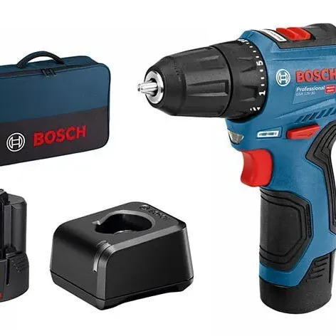 BOSCH Δραπανοκατσάβιδο Μπαταρίας (2x2,0Ah) Brushless Motor 12V 06019G9004