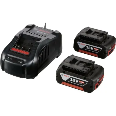 BOSCH ΣΕΤ  2 ΜΠΑΤΑΡΙΕΣ LI-ION GBA 18V 5AH + ΤΑΧΥΦΟΡΤΙΣΤΗΣ GAL 1880CV 1600A00B8J