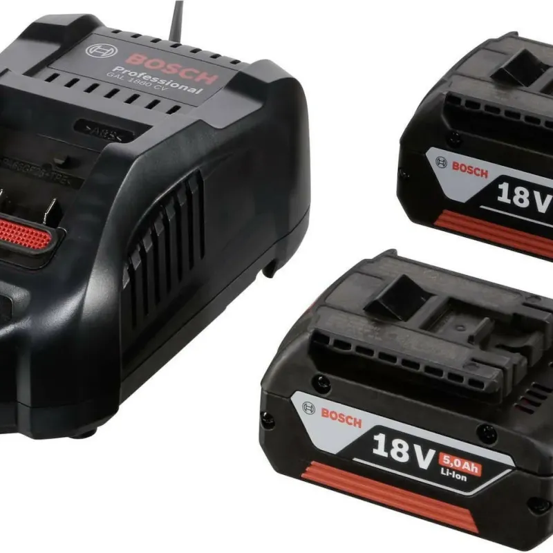 BOSCH ΣΕΤ  2 ΜΠΑΤΑΡΙΕΣ LI-ION GBA 18V 5AH + ΤΑΧΥΦΟΡΤΙΣΤΗΣ GAL 1880CV 1600A00B8J
