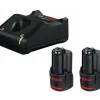 BOSCH - Σετ Φορτιστή GAL 12V-40 και Μπαταριών 12V με 2 Μπαταρίες 3.0Ah - 1600A019RD