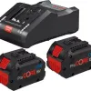 BOSCH - Σετ 2 Μπαταρίων ProCORE 18V 8.0Ah με Φορτιστή GAL 18V-160C 1600A016GP