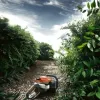 HUSQVARNA Ψαλίδι Μπορντούρας 122HD45 029665323-01