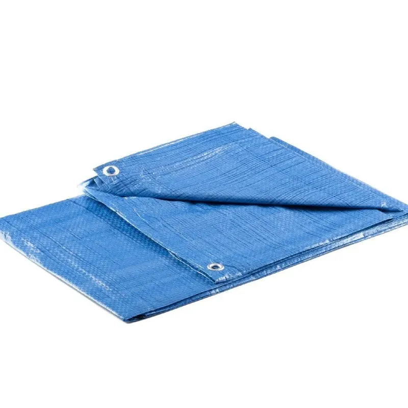 Μουσαμάς αδιάβροχος μπλε 68gr/m² 5x8m 1113