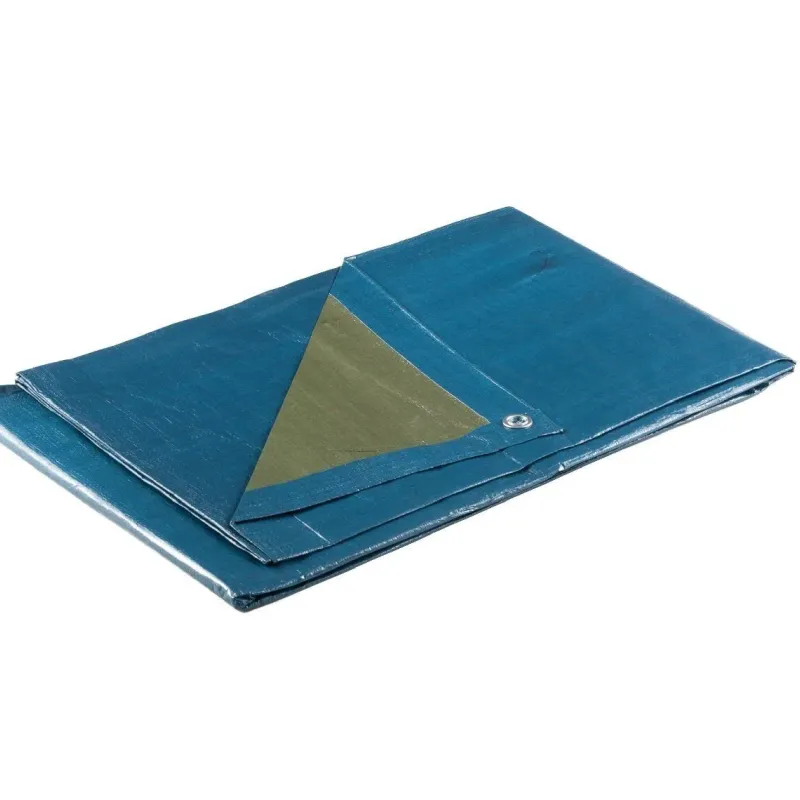 Μουσαμάς αδιάβροχος πράσινο-μπλε 140gr/m² 3x5m 4107
