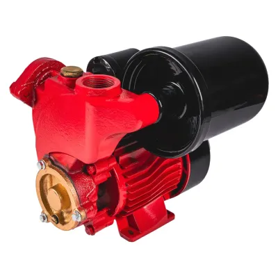 RAIDER Πιεστικό mini 550W RD-WP550 1