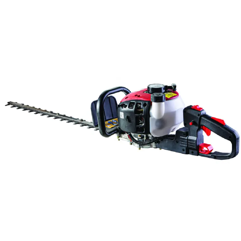 RAIDER Ψαλίδι μπορντούρας βενζινοκίνητο RD-GHT02 075702